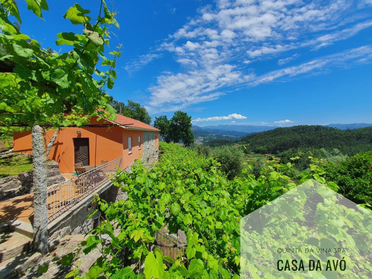 TourimQuinta Da Vinagra别墅 外观 照片