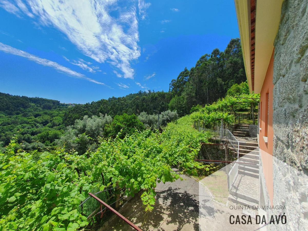 TourimQuinta Da Vinagra别墅 外观 照片