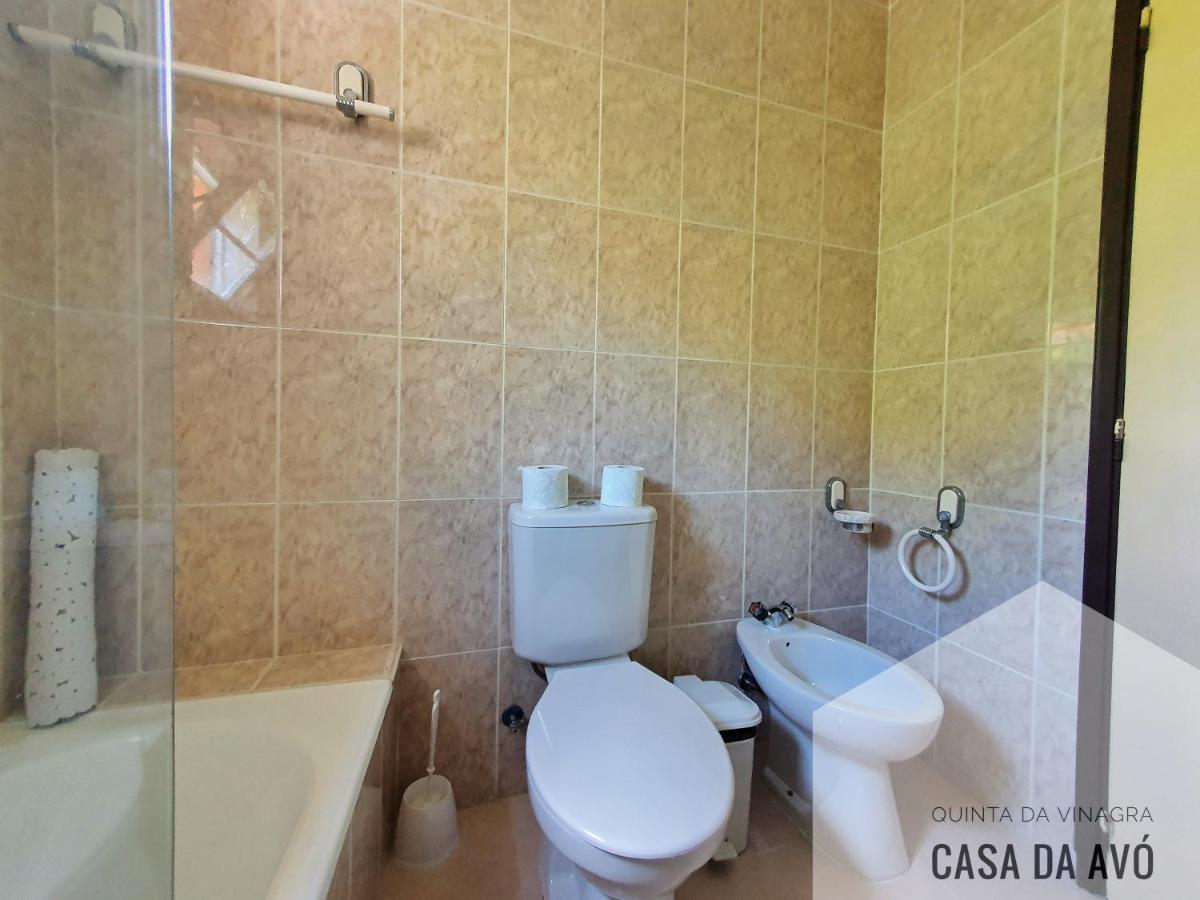 TourimQuinta Da Vinagra别墅 外观 照片
