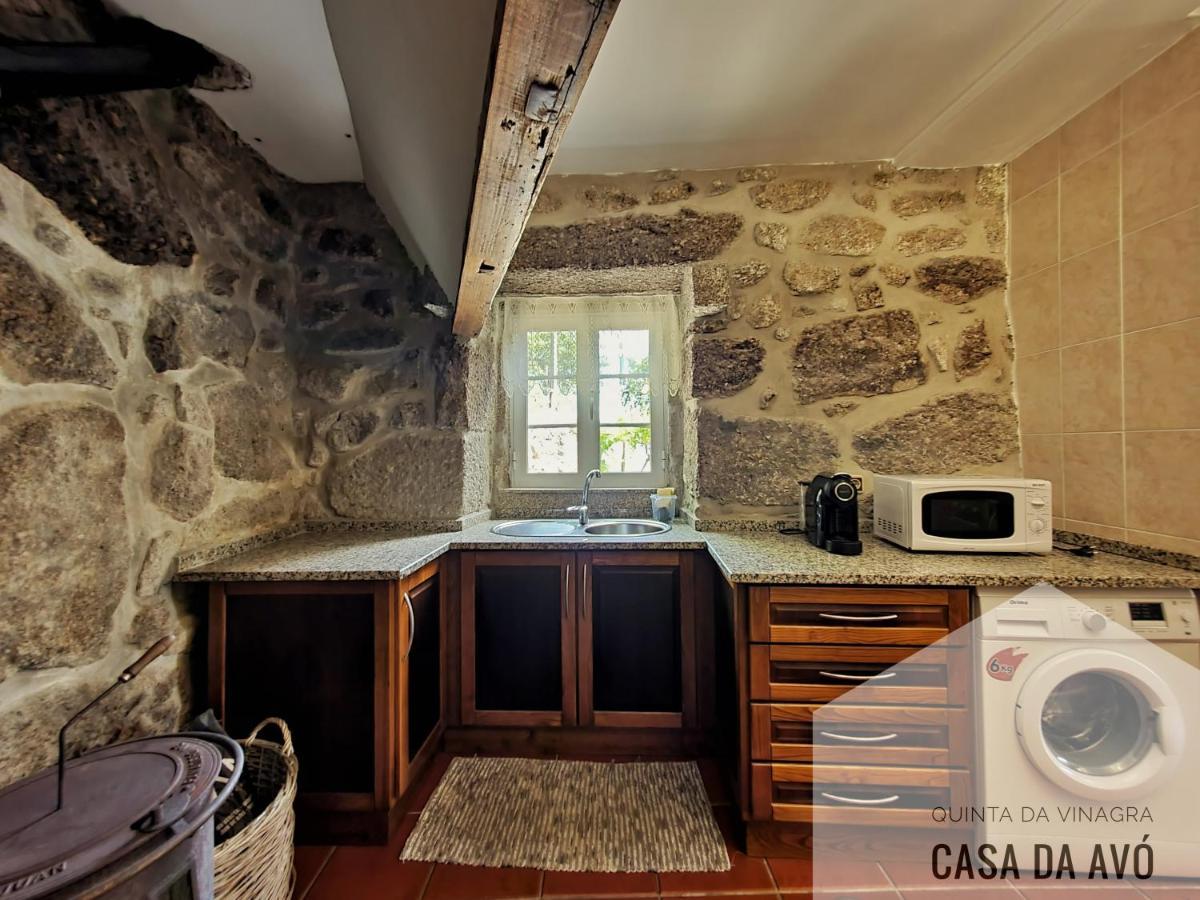 TourimQuinta Da Vinagra别墅 外观 照片