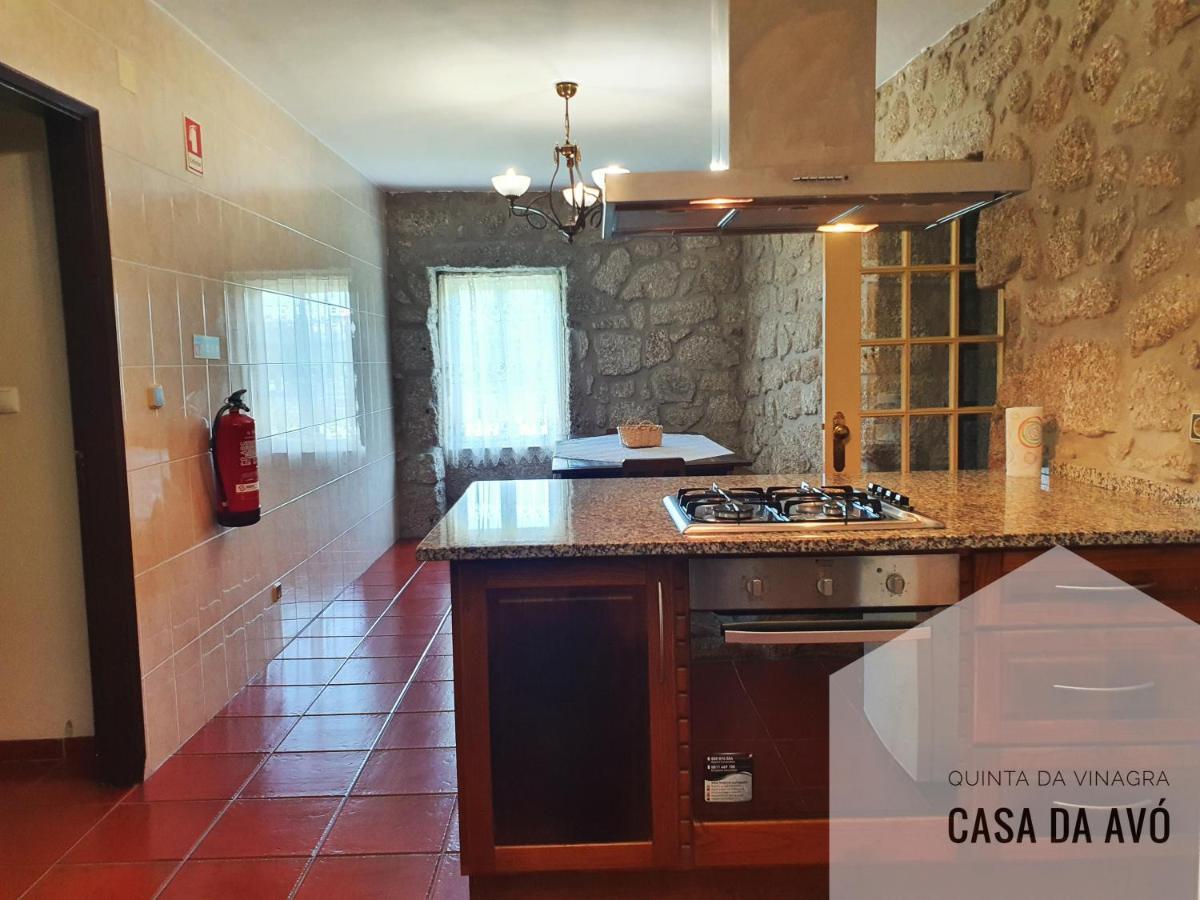 TourimQuinta Da Vinagra别墅 外观 照片