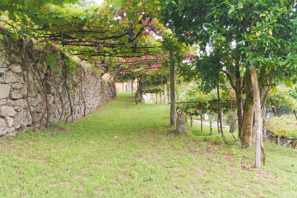 TourimQuinta Da Vinagra别墅 外观 照片